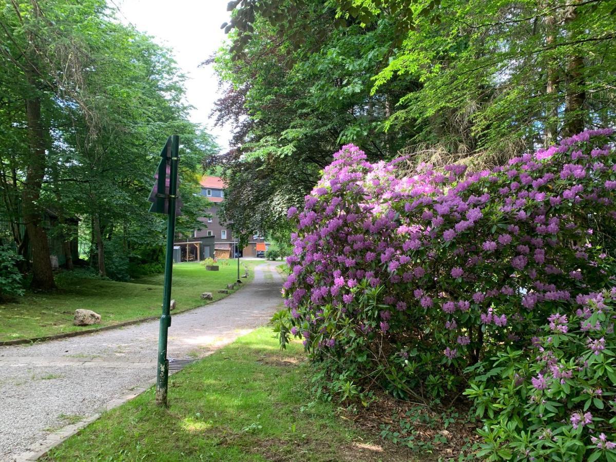 클라우슈탈젤러펠트 Haus Am Kurpark 아파트 외부 사진